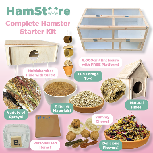 Complete Hamster Starter Kit